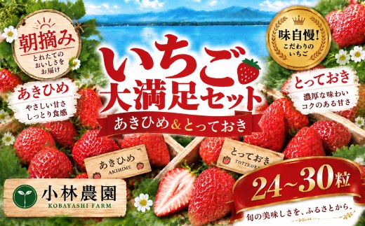 24MZ.■小林農園■味自慢！いちご大満足セット