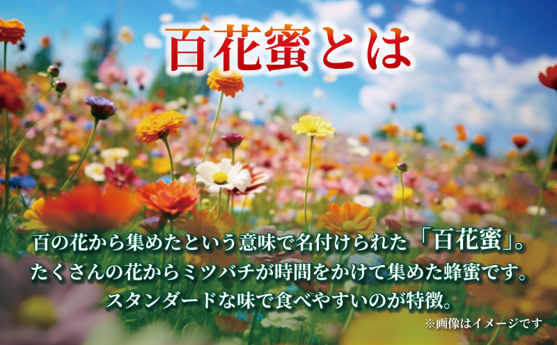 百花蜜 500g ギフト箱入 元気や はちみつ 国産はちみつ 百花蜂蜜 純粋はちみつ 生はちみつ  蜂蜜 ギフト プレゼント  数量限定 産地直送 国産 愛媛 宇和島 F012-176004