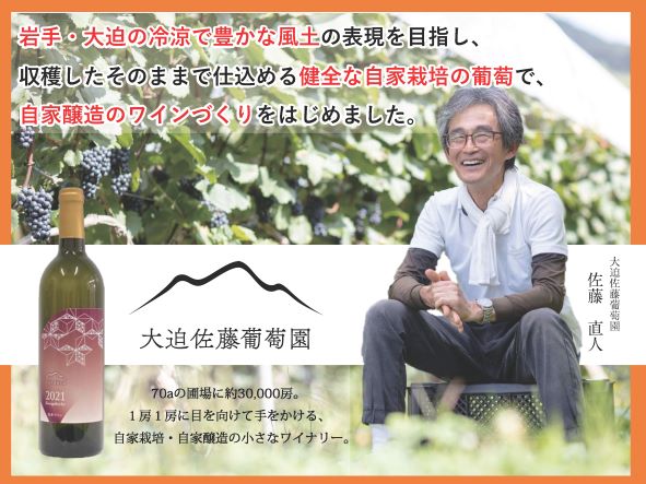 大迫佐藤葡萄園　ワイン4本セット（ツヴァイゲルト赤・ロゼ、メルロー、ソーヴィニヨンブラン） 【2439】_イメージ2