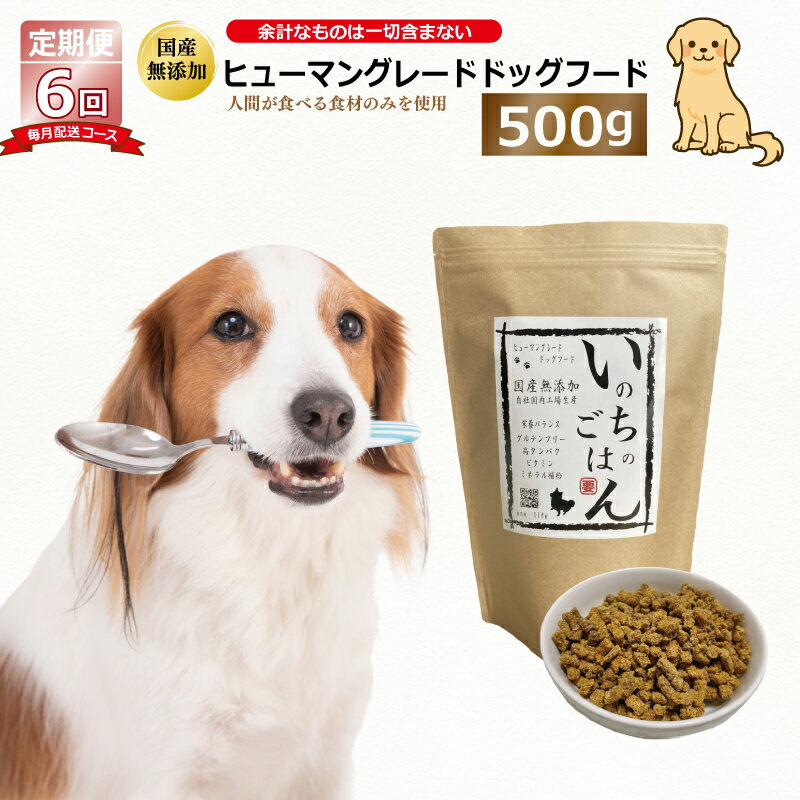 【ふるさと納税】【定期便】 国産 無添加 ドッグフード いのちのごはん 500g × 全6回 【毎月配送】 国内製造 犬 健康 ヒューマングレード 厳選 グルテンフリー ノンオイル 素材本来の味 保存料不使用 栄養バランス 高タンパク ビタミン ミネラル 大阪府 泉佐野市 送料無料