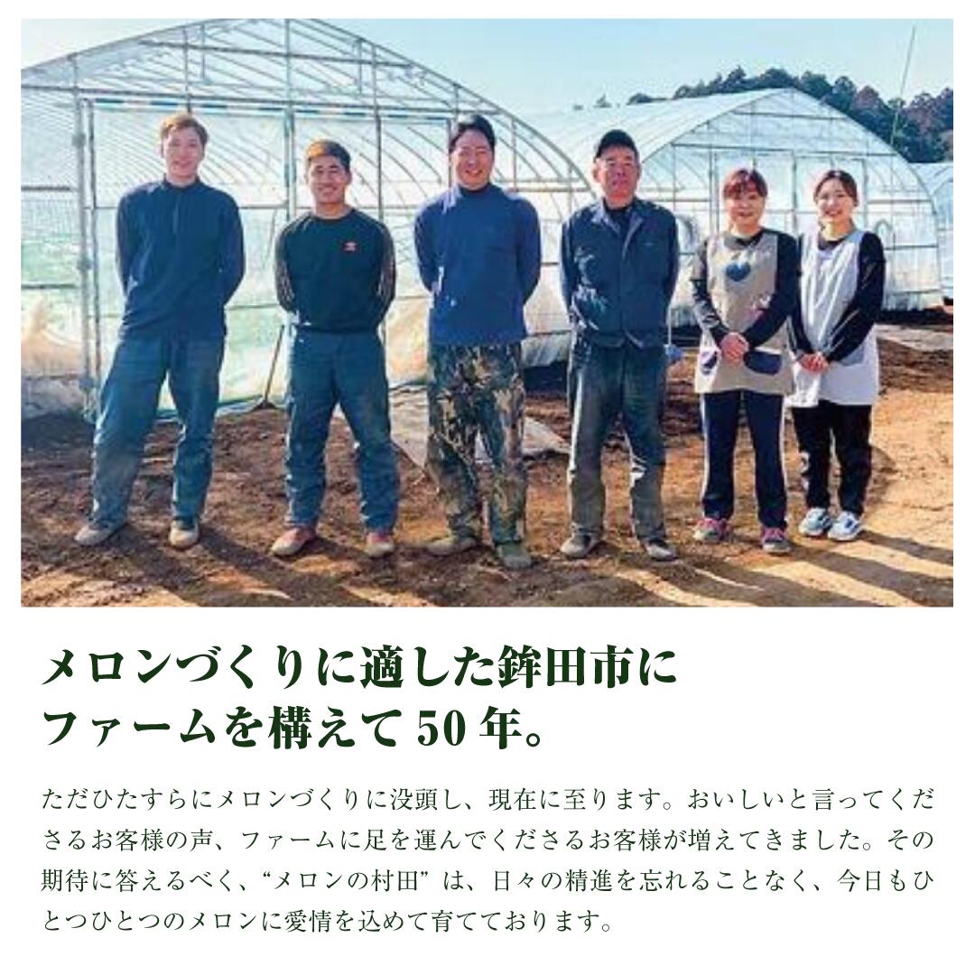 クインシーメロン（ 2玉入り1箱 ）計3kg前後 4Lサイズ1玉1.5kg前後 茨城 鉾田 メロン めろん クインシー 2025年5月～6月頃発送 先行予約 フルーツ先行予約