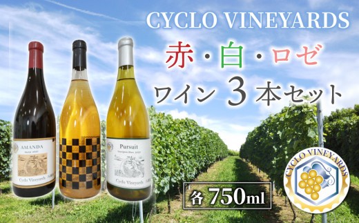【ふるさと納税限定セット】496ワイナリー プレミアムワイン３本セット(赤・白・ロゼ 各1本)｜長野県東御市産