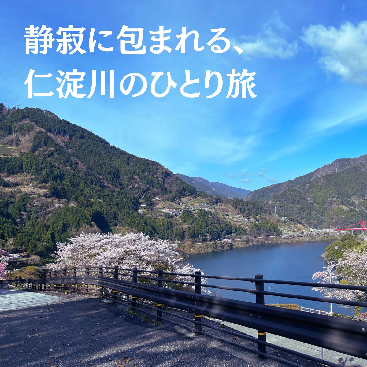 【ふるさと納税】秋葉の宿 ひとり旅 1泊2食付きプラン 食事 四国 宿泊券 高知 宿泊 仁淀川町