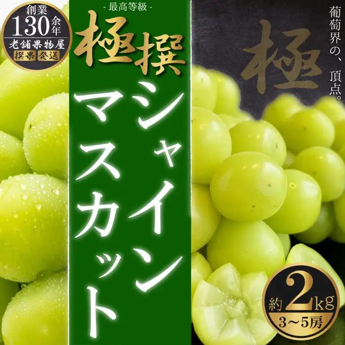 極撰！シャインマスカット　約2kg（3～5房）