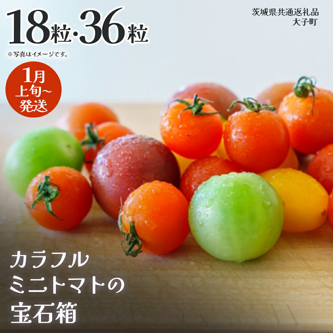 【ふるさと納税】《 選べる 内容量 》カラフル ミニトマト の宝石箱 18粒 / 36粒【2026年1月上旬発送開始】(茨城県共通返礼品：大子町) 野菜 フルーツ 旬 季節限定 期間限定