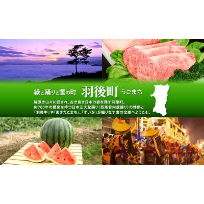 ふるさと納税 羽後町 木製 エンジュの温もりコースター 3枚[No.5325-0392] |  | 01