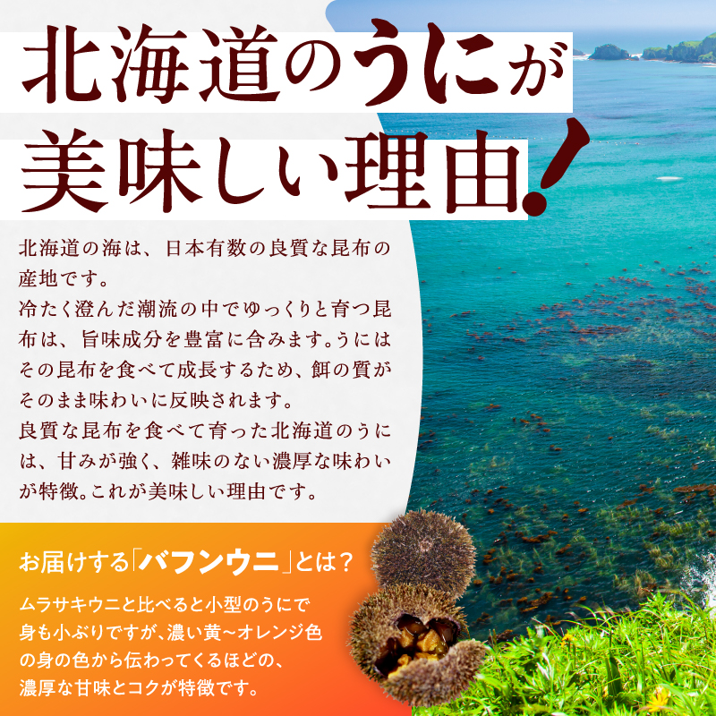 ≪プロ厳選≫最高級折うに(極)宮下あきら先生パッケージVer計250g うに ウニ 雲丹 折うに 海鮮 海産物 北海道 浜中町 ふるさと納税 人気_H0014-105