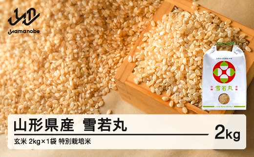 【先行予約】新米 雪若丸 玄米 2kg 配送時期選べる 12月後半発送 令和8年産 2026年産 山形県産 ※沖縄・離島への配送不可 on-ywgxb2-12s