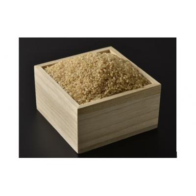 ふるさと納税 山口市 阿武川源流米コシヒカリ玄米10キログラム D539 |  | 01