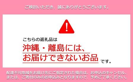 鏡野町産 朝採れ！旬の完熟いちご 300g×4パック＜2026年1月～3月発送＞【038-a004】
