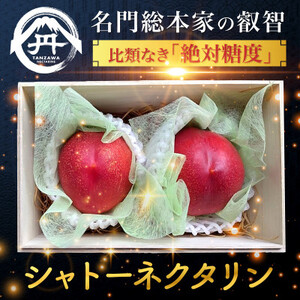 【周りに差をつける贈り物】最高糖度25度の比類なき絶対糖度シャトーネクタリン2024年8月上旬発送【配送不可地域：離島・北海道・沖縄県・中国・四国・九州】【1468768】
