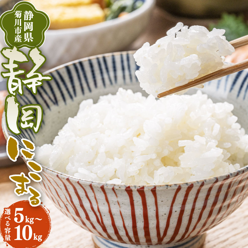 【ふるさと納税】先行予約 ＜選べる発送時期・内容量＞【令和8年産】菊川市産 静岡にこまる 白米 5kg 10kg 米 お米 単一原料米 精米 5キロ 10キロ おにぎり お弁当 静岡県産 国産 菊川市 送料無料 【2026年11月上旬～2027年3月下旬発送予定】