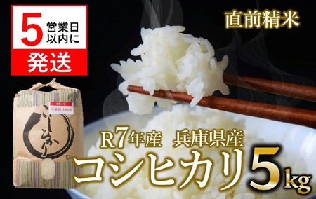 【スピード発送】コシヒカリ 5kg 白米 令和７年産