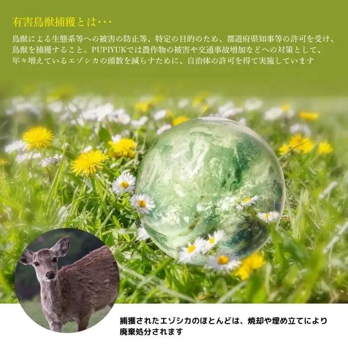 エゾ鹿肉 フランクフルト 2本入（150g×15袋）【PIPIYUK】ジビエ 鹿肉 鹿 蝦夷鹿 シカ おやつ おつまみ スパイシー 干し肉 北海道 比布町 ぴっぷ 1023-019