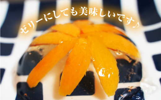 【先行予約】西海市産 びわ （長崎早生） 約1.5kg＜谷添正義＞ [CDM003] 西海市 ビワ びわ 琵琶 果物 フルーツ 