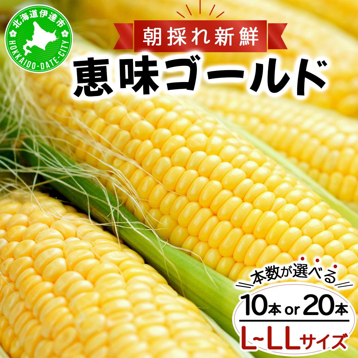 【ふるさと納税】【 2026年先行予約 】＜選べる本数＞北海道 朝もぎ とうもろこし 恵味 ゴールド L-LLサイズ 10〜20本 スイート コーン トウモロコシ とうきび 旬 完熟 野菜 採れたて 朝採り 甘い めぐみ 産地直送 道産 送料無料