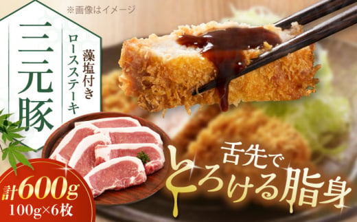 三元豚 ロースステーキ 6枚（100g/枚）  藻塩付き 《喜茂別町》【平田牧場】肉 豚肉 ロース ステーキ ステーキ用 とんかつ トンテキ 生姜焼き 冷蔵配送 北海道 [AJAP003] 13000 13000円