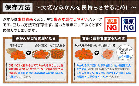 温州みかん 約3kg 日本フルーツ株式会社 熊本県 荒尾市 《10月中旬-2月下旬頃出荷》 デコポン 果物 秀品 フルーツ スイーツ デザート ギフト ご贈答