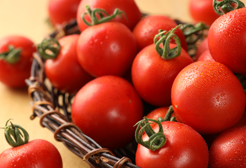 予約受付【2024年8月頃から順次発送】産地直送！杤本農園　ゴリラトマトジュース（180ml  6本×4箱）24本入り フルーツトマトジュース【45-5】