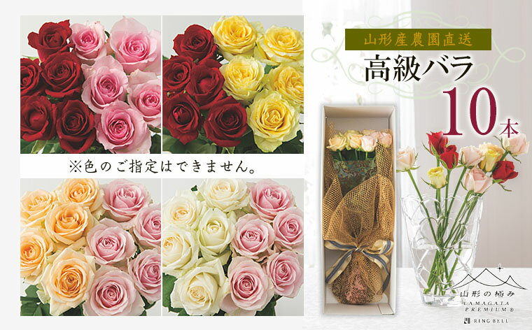 【ふるさと納税】山形産農園直送高級バラ 10本 FZ26-744