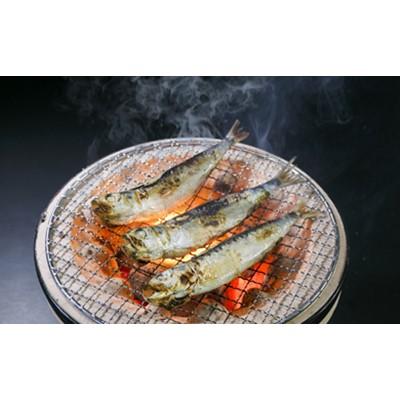 ふるさと納税 大網白里市 入梅いわしの丸干し　12尾