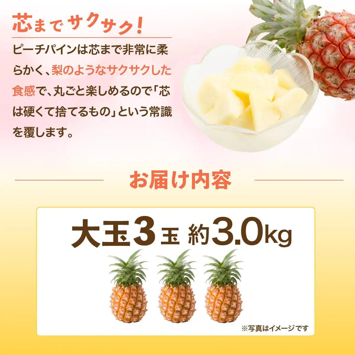 パイナップル 石垣島産・大玉ピーチパイン 3玉 約3.0kg 