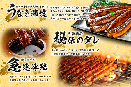 ＜ご家庭用＞うなぎ 鰻楽 国産 蒲焼 5尾 計650g以上（130g×5尾）おすすめ 冷凍 簡単調理 個包装 鰻 魚介【D144】