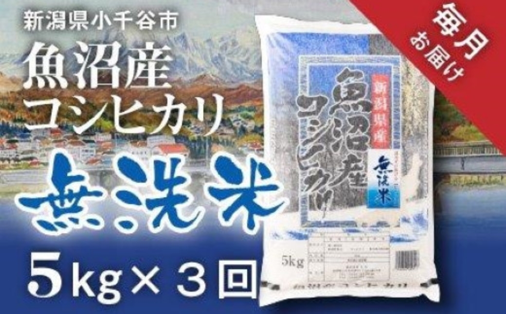 令和7年産 魚沼産コシヒカリ 無洗米 定期便5kg×3回 （毎月お届け）米太【0020-KT02DB00-02】