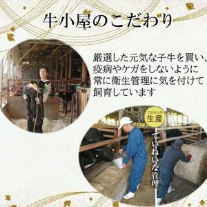 生産直売】知多牛 響 ミニステーキ 500g (冷凍)柔らか 一番人気 [配送不可地域：離島]