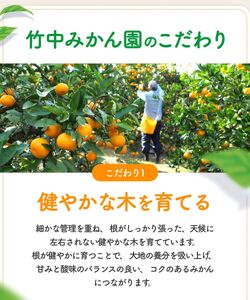 早生 有田みかん10kg (大玉）2L～ ※2026年11月～2027年1月中旬順に順次発送予定 【tkn004-wr-l-10-12】