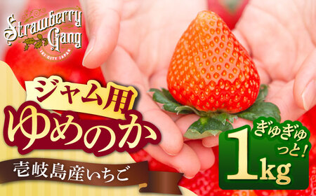 【先行予約】【ジャム用】ゆめのか 1kg 【2027年1月以降順次発送】[JEM007] いちご 苺