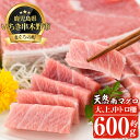 【ふるさと納税】南マグロ極みセット！大とろ・上とろ・中とろの鮪の刺身用柵(計約600g) まぐろ 鮪 南まぐろ 南マグロ 大とろ 中とろ 上とろ 魚介 刺し身 刺身 刺身用 さしみ サク 海鮮丼 小分け 便利 冷凍 希少 新鮮【新洋水産】