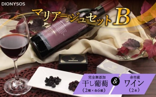 【ギフトボックス】余市産完全無添加干し葡萄と余市産セレクトワインのマリアージュセット ～B～