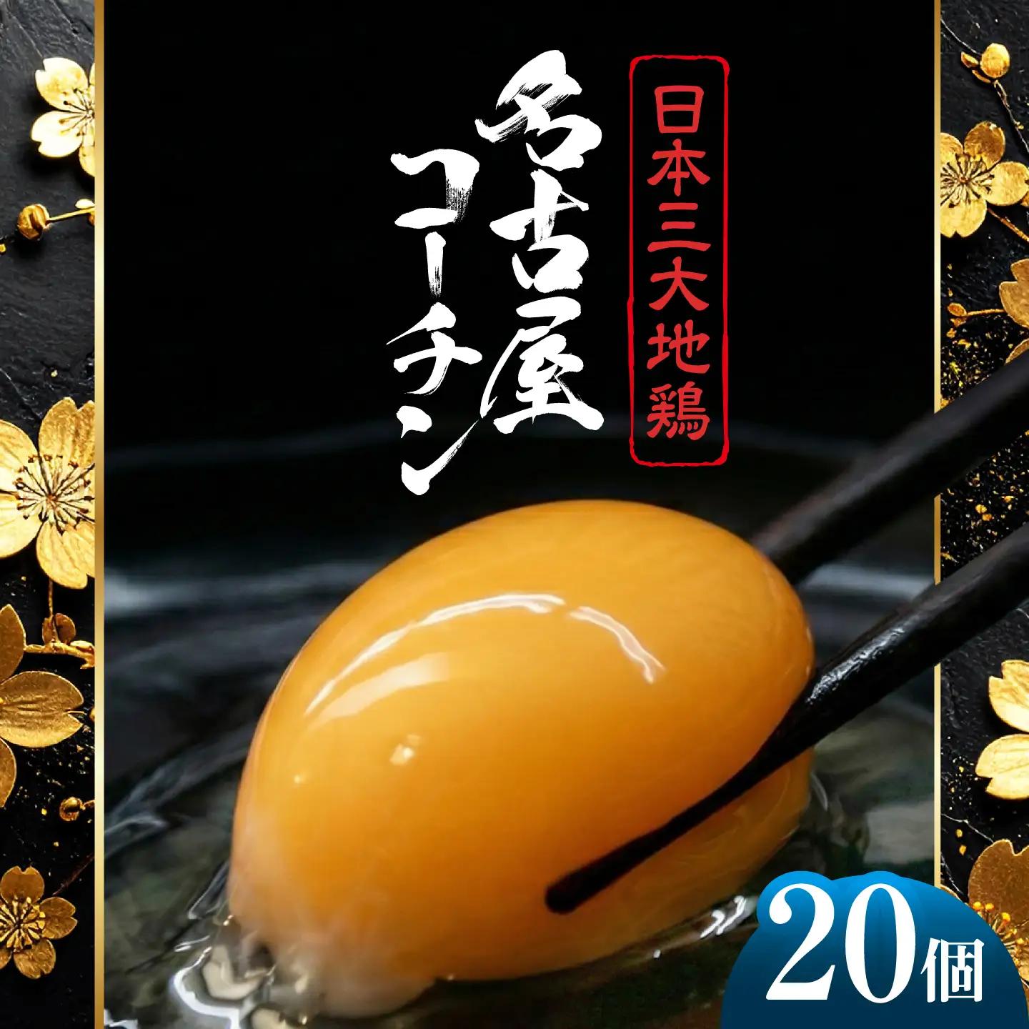 名古屋コーチン 卵 20個（18個＋割れ保証2個）【化粧箱入り】/ 卵 たまご 鶏卵 高級卵 / 稲沢市 / 櫛田養鶏場[BMAY006]