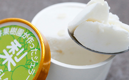 No.145 梨農家の完熟梨を使った梨ジェラート16個セット