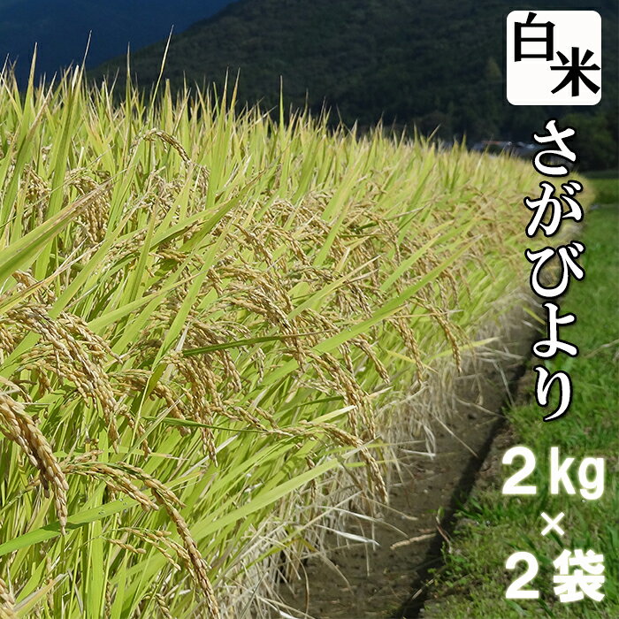 【ふるさと納税】お米 さがびより 特A チャック付 白米 2kg × 2袋 計4kg | ふるさと納税 米 お米 新米 精米 国産 佐賀県 鹿島市 ふるさと 人気 送料無料 A-148