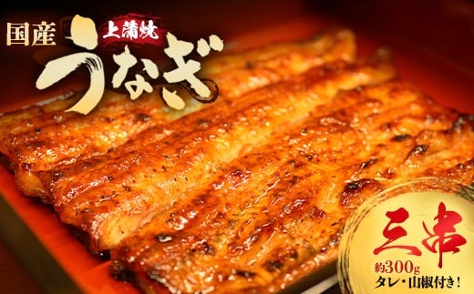 
            うなぎ上蒲焼3串(各100g前後)【老舗 ギフト 冷凍  うなぎ 鰻 ウナギ かばやき 串  タレ 山椒 千葉県 市川市】【12203-0300】
          