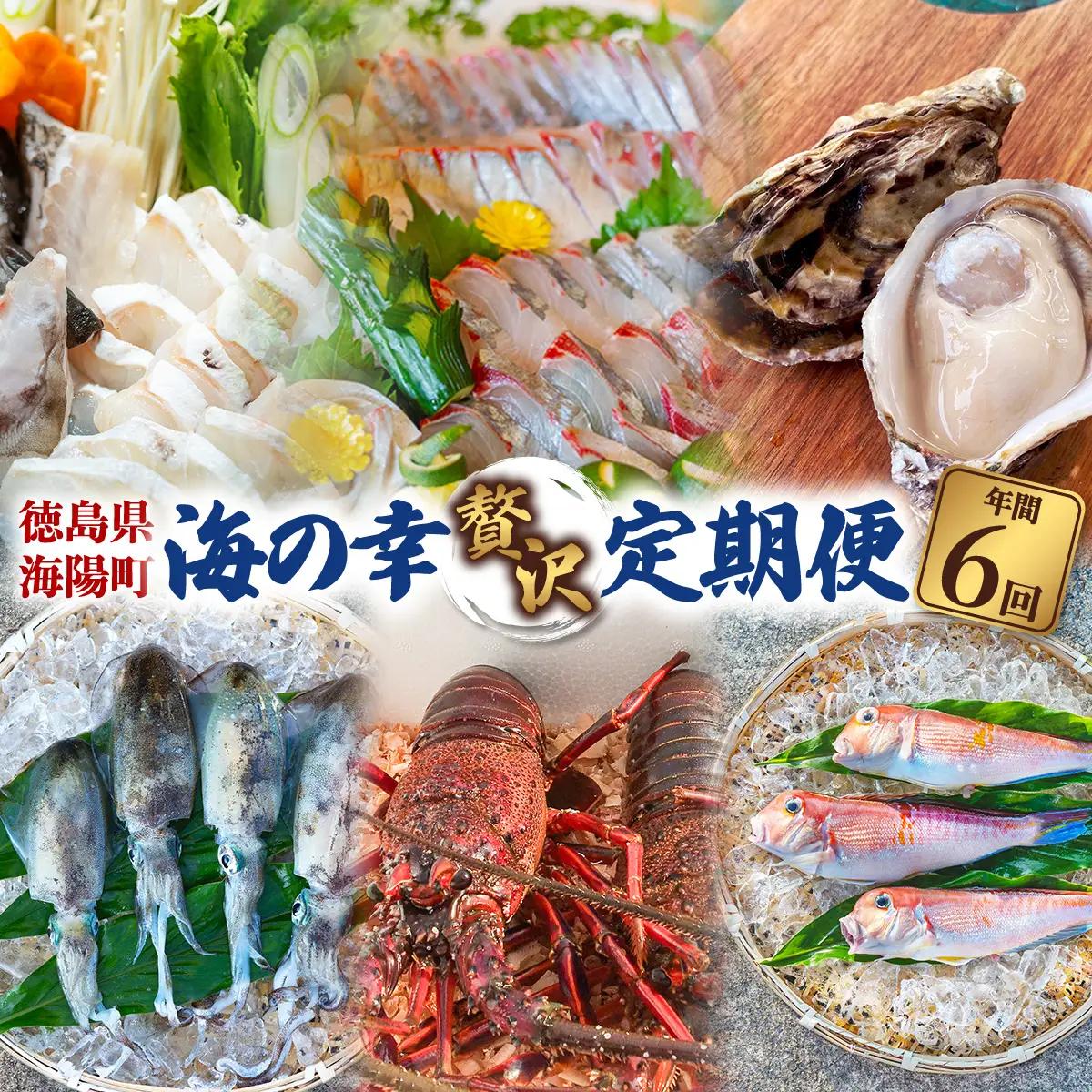 【定期便全６回】海陽町の『海の幸』定期便 クエ クエ鍋 牡蠣 アマダイ シマアジ アオリイカ 伊勢海老