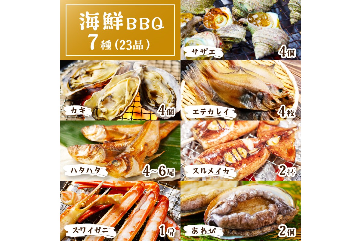 大満足！京丹後・海鮮BBQ　Fセット　豪華盛り合わせ　生ズワイガニ　アワビ付　7種23品（4～5人前）　YK00147