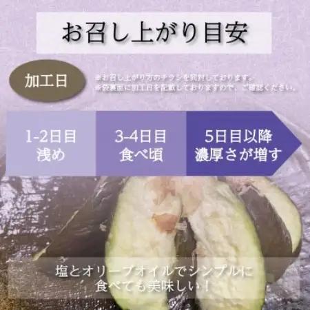 お好みの漬かり具合を堪能 泉州特産職人仕込みの水ナスぬか漬け6個入り 熟成の変化を味わう【配送不可地域：離島】【1745071】