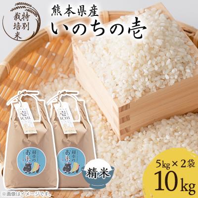 ふるさと納税 南阿蘇村 熊本県南阿蘇村産 令和7年産 特別栽培米 いのちの壱(白米)計10kg(5kg×2袋)【虹色のかば】