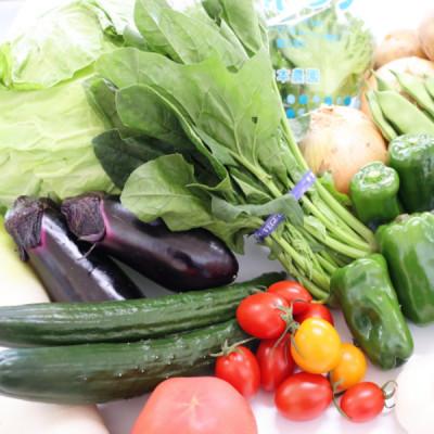 ふるさと納税 印南町 旬の新鮮野菜セット 8種以上【野菜詰め合わせ】 |  | 01