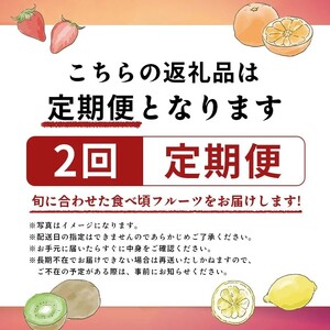 旬のフルーツ定期便 2回 Bコース フルーツ 定期便