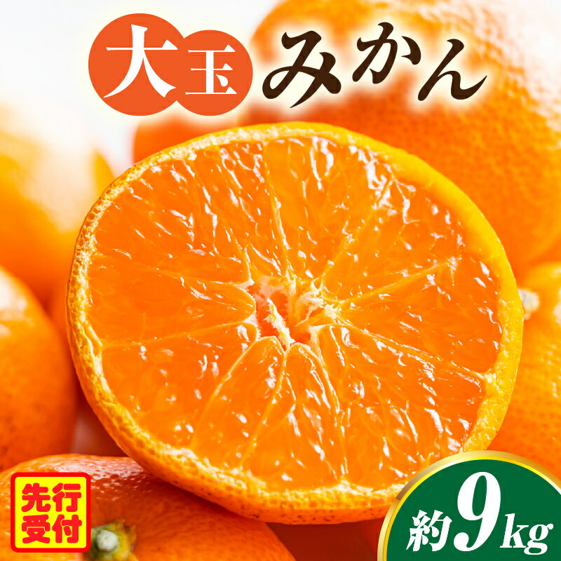 【ふるさと納税】大玉みかん　約9kg みかん 柑橘 果物 フルーツ 大玉みかん 大玉みかん 大玉 みかん ミカン 蜜柑 オレンジ 柑橘 柑橘系 果物 フルーツ 青果 おすすめ お取り寄せ ギフト 香川県 三木町