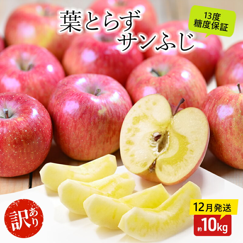 【ふるさと納税】りんご 【12月・1月発送】 蜜入り 糖度13度以上 訳あり品 家庭用 葉とらず サンふじ 約 10kg 【 青森りんご 果物 フルーツ デザート 食後 おやつ 産地直送 】　お届け：2025年12月20日頃～2025年12月27日、2026年1月20日頃～2026年1月31日