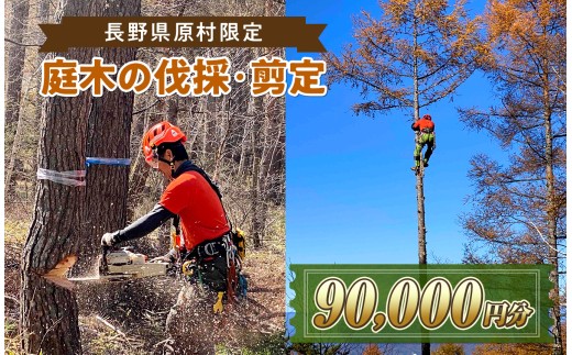 【原村限定】庭木の伐採・剪定サービス 90,000円分 | 庭木 お手入れ 庭 ガーデニング 剪定 伐採 別荘 自宅 空き家 サービス プレゼント 長野県 諏訪郡 原村