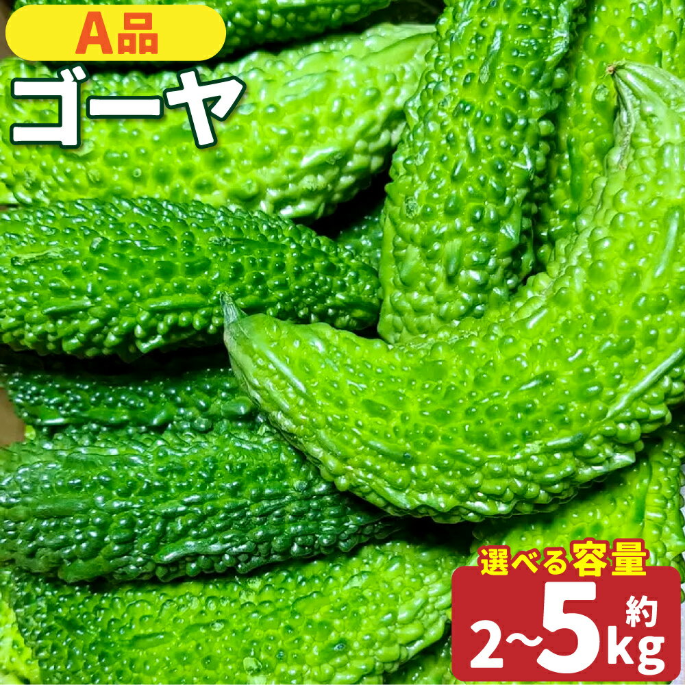 【ふるさと納税】【選べる・容量】【A品】鹿児島県産 ゴーヤ 2kg 3kg 5kg 朝どれ 季節限定 ゴーヤー 朝どれ 朝採れ 夏野菜 夏 なつ 野菜 やさい ニガウリ 苦瓜 季節限定 夏限定 農家直送 鹿児島県 薩摩川内市 送料無料 【2026年7月上旬から9月下旬発送予定】