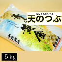 【ふるさと納税】【令和6年米】 アグリロード 天のつぶ 5kg (5kg × 1) 5キロ 精米 白米 コメ ごはん ブランド米 南相馬 福島 オリジナル 品種 福島県産 お取り寄せ 炊き立て おかゆ 送料無料 ふるさと納税 オンライン申請【69002】