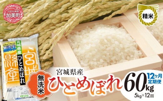 【12回定期便】新米 無洗米 令和7年度産 宮城 ひとめぼれ 60kg (5kg×12回) [菅原精米工業 宮城県 加美町 ]  ｜ sw-hb05-mu-t12-r7