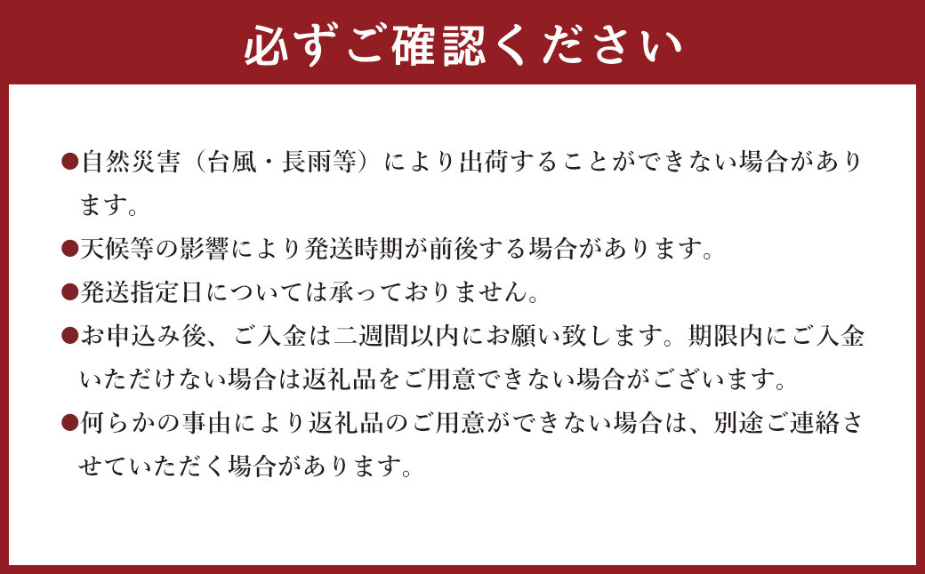 ＜宮崎県 完熟マンゴー2L×2玉 700g＞